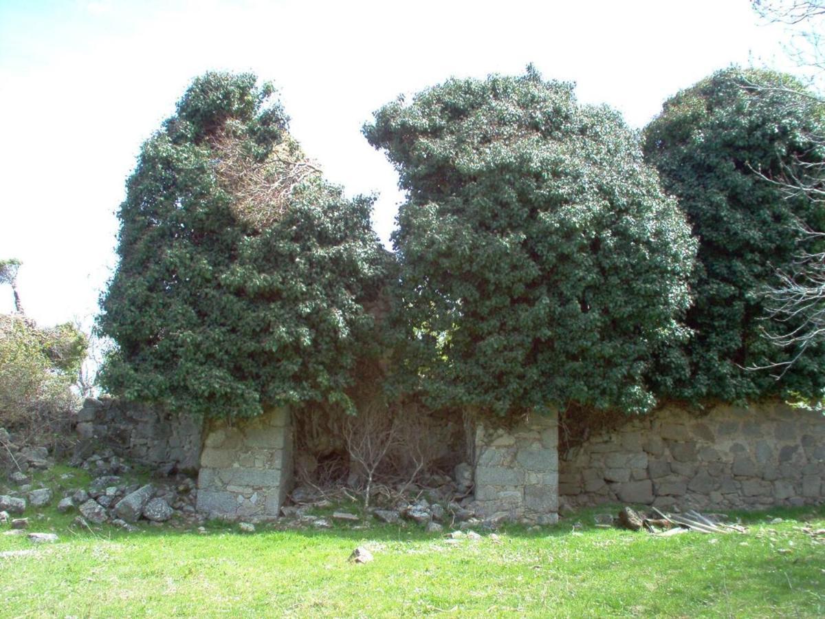 Casa Rural Cristina III San Pablo de los Montes Εξωτερικό φωτογραφία